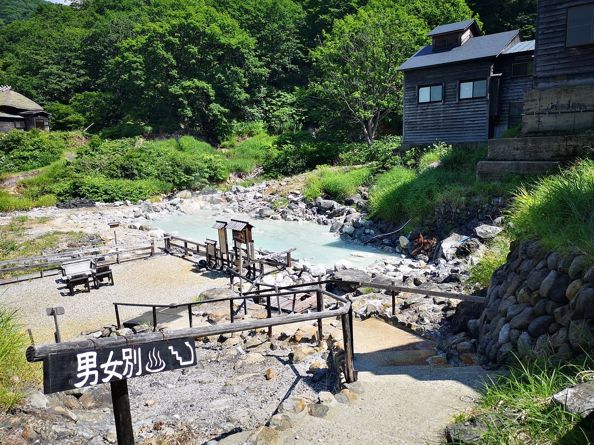 ♨️ 구로카미 숲 온천 덴도노유 (黒髪の森温泉天童の湯) 이미지 4